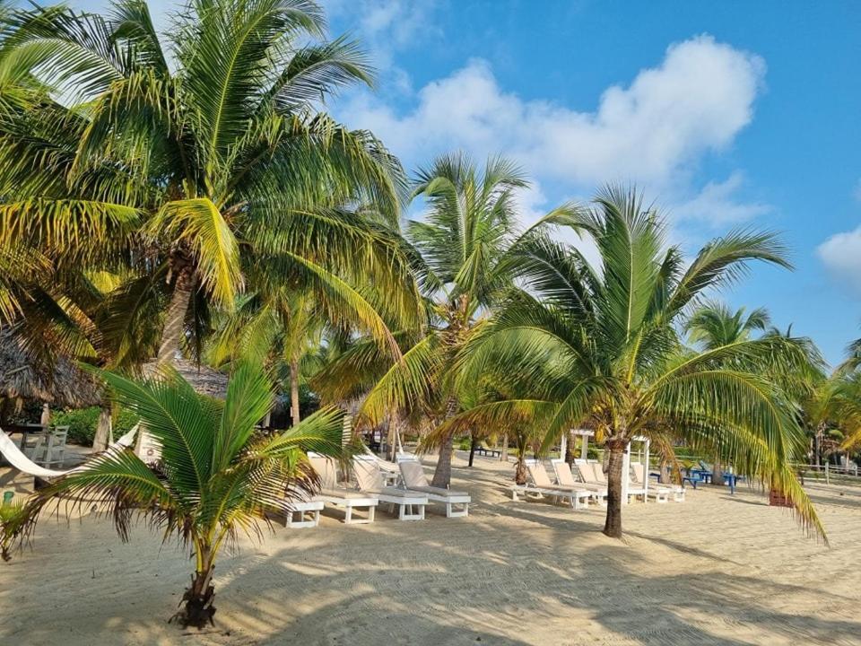 Caribbean Beach Cabanas Placencia Exterior photo