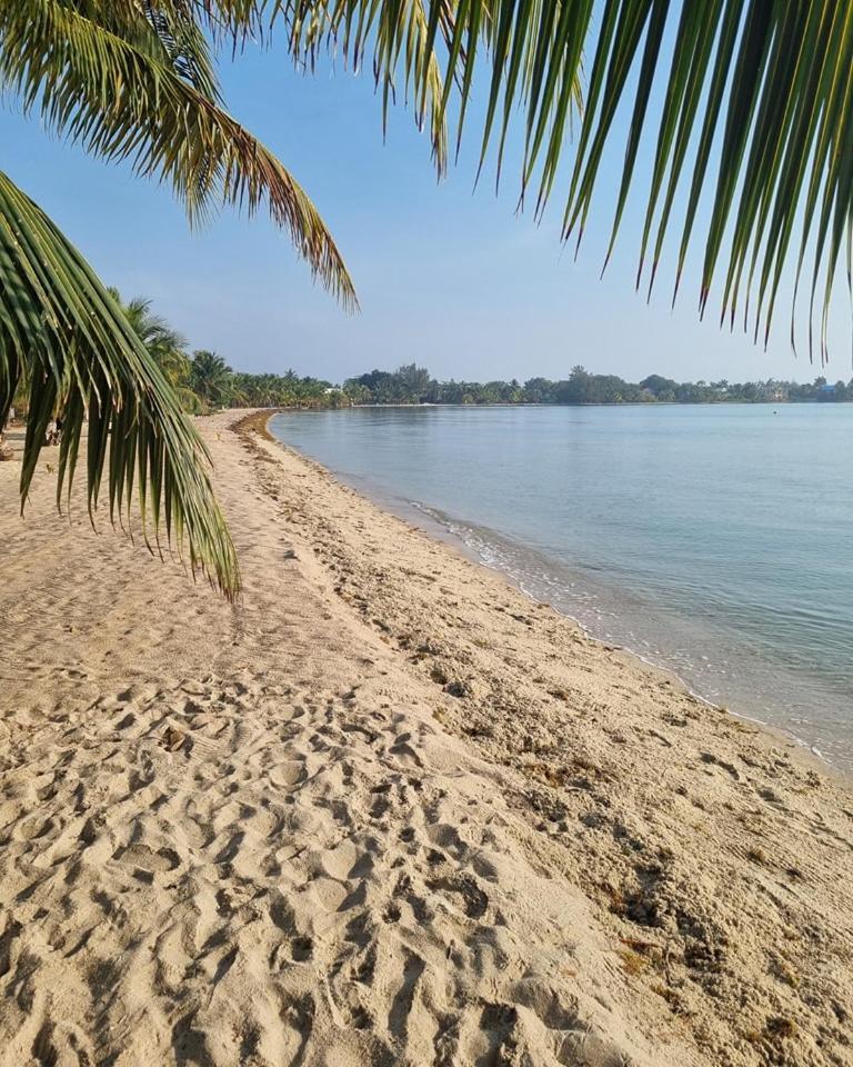 Caribbean Beach Cabanas Placencia Exterior photo