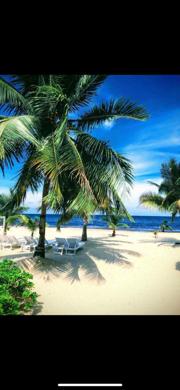 Caribbean Beach Cabanas Placencia Exterior photo